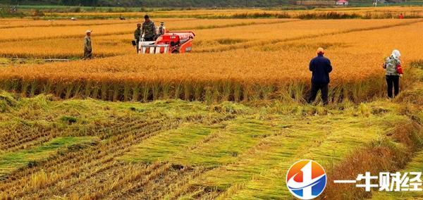 鍝堥浄娑ㄤ环鏄湡鐨勫悧,鍝堥浄娑ㄤ环浜嗗悧