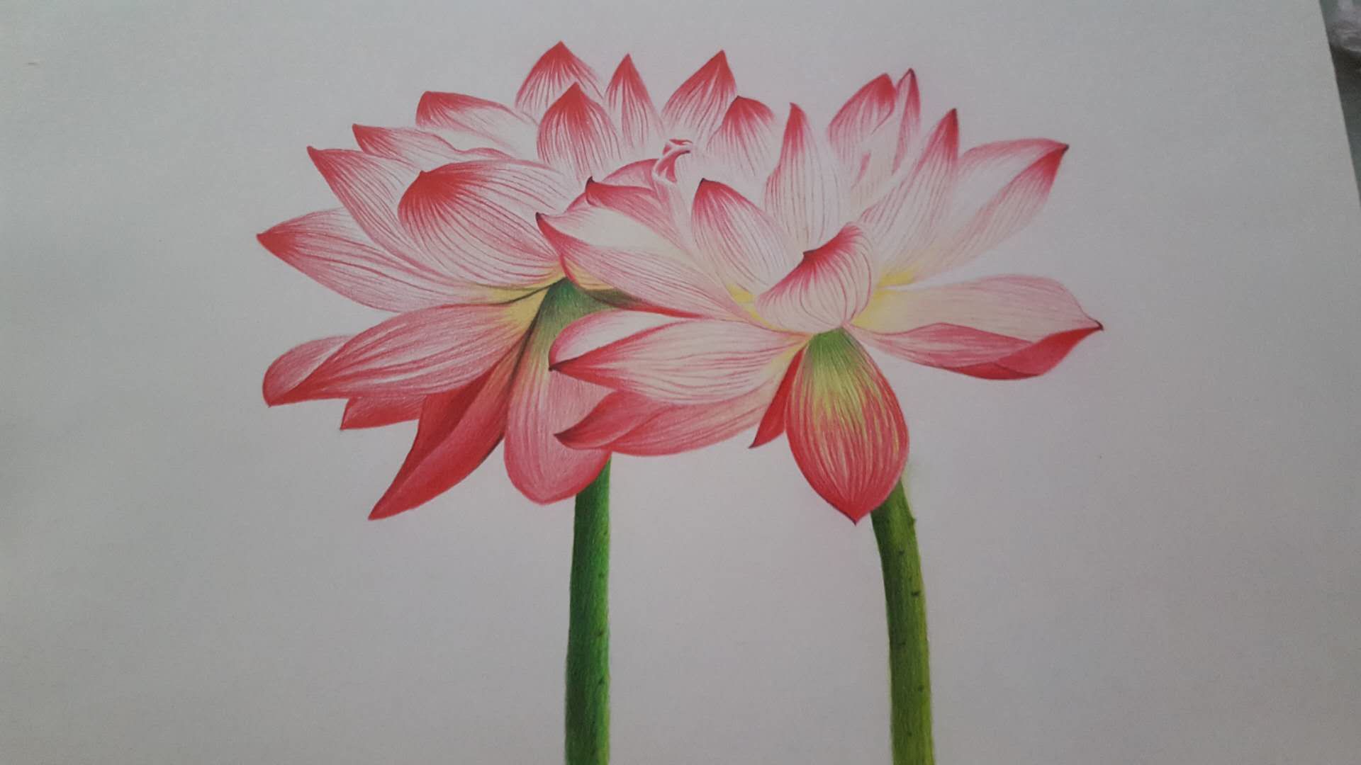 幸福画吧7月份作品,幸福原创绘画作品欣赏