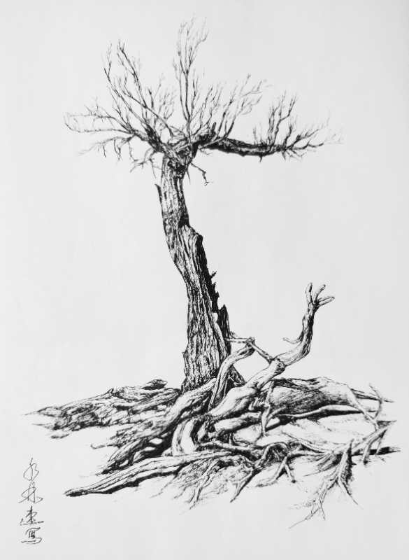 幸福画吧7月份作品,幸福原创绘画作品欣赏