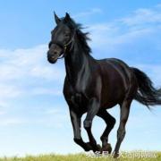 大沽河散文诗作品,大沽河的诗