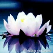 大沽河散文诗作品,大沽河的诗