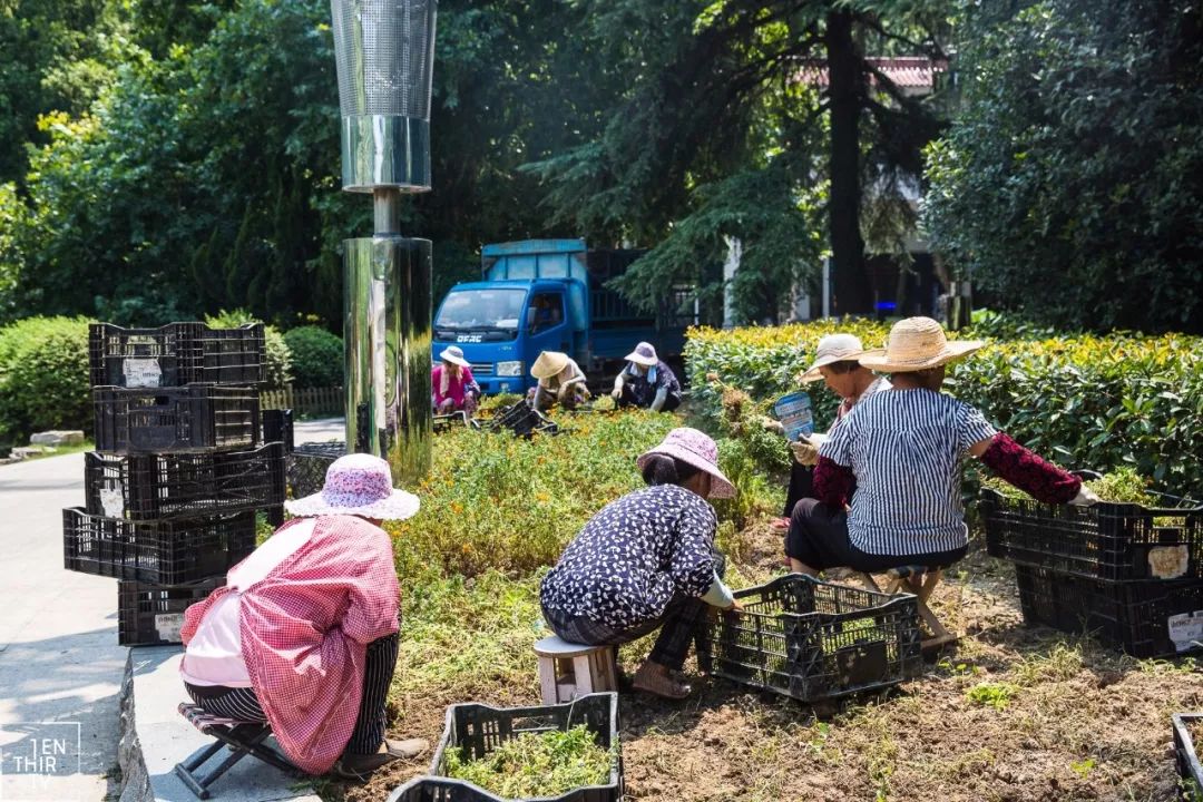 武汉市外来务工人员,武汉打工人的日常