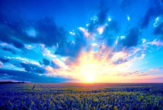 励志语录又哭又笑才是人生,正能量励志语录开心了就笑