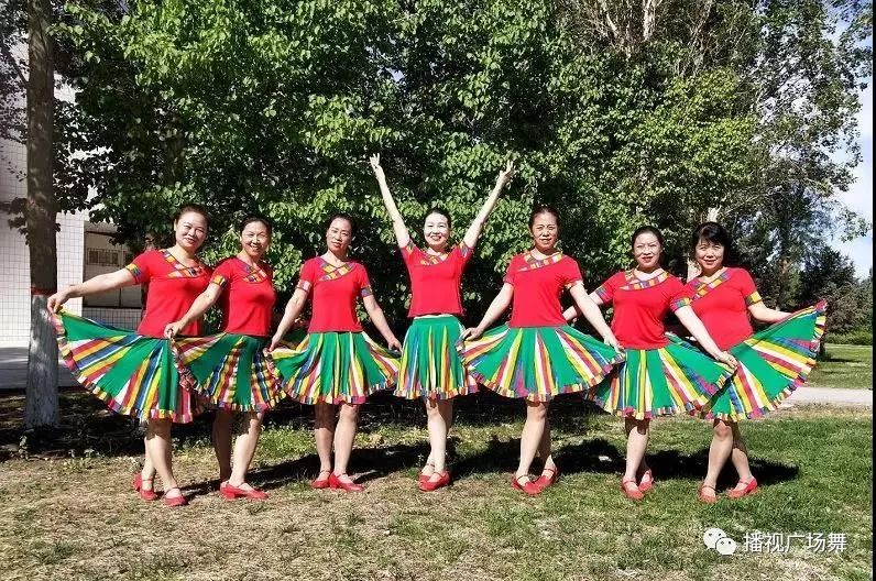 学好舞蹈的方法,学好舞蹈的基础是什么