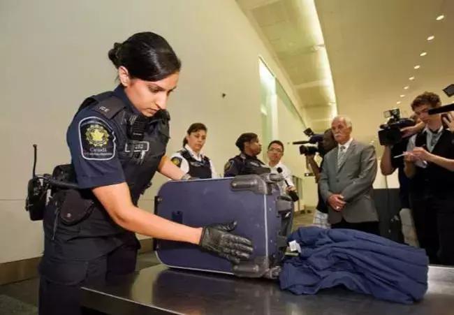 拼多多仿冒名牌会怎样怎么举报,拼多多打假一般打什么