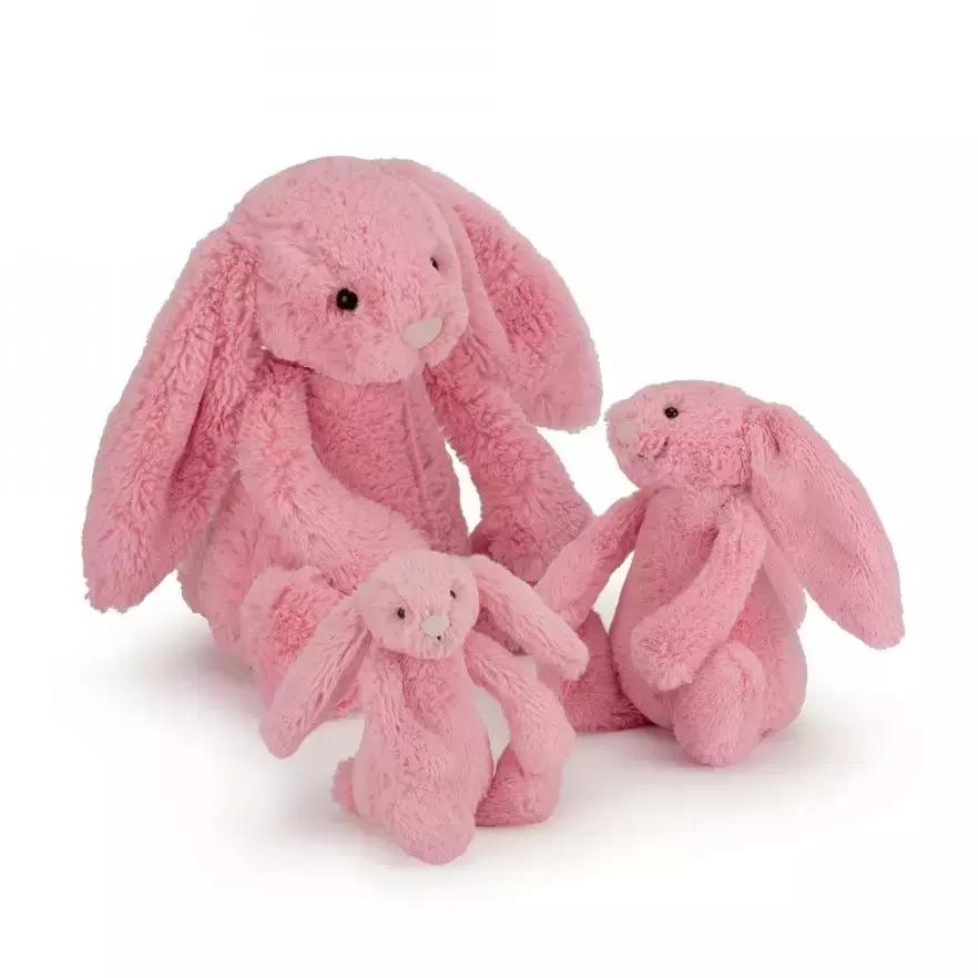 特殊群体关爱活动,免费送智伴机器人