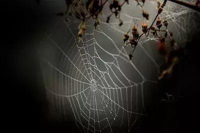 大学生网上应聘，从被骗入传销组织到坠河身亡，只过了8天……｜今晚九点半