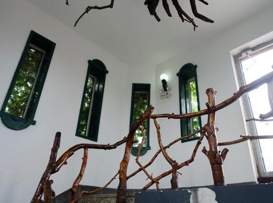 北戴河怪楼奇园来历,怪楼奇园旅游攻略