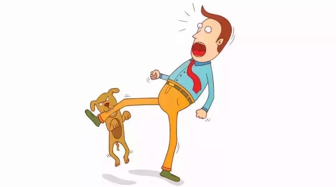 关于狂犬病毒的科普知识文章,狂犬病指南2016