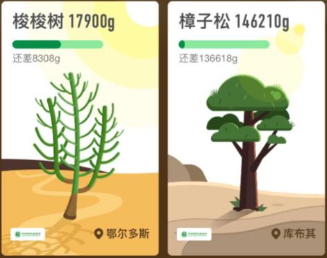 积分商城的营销方案,线上积分营销