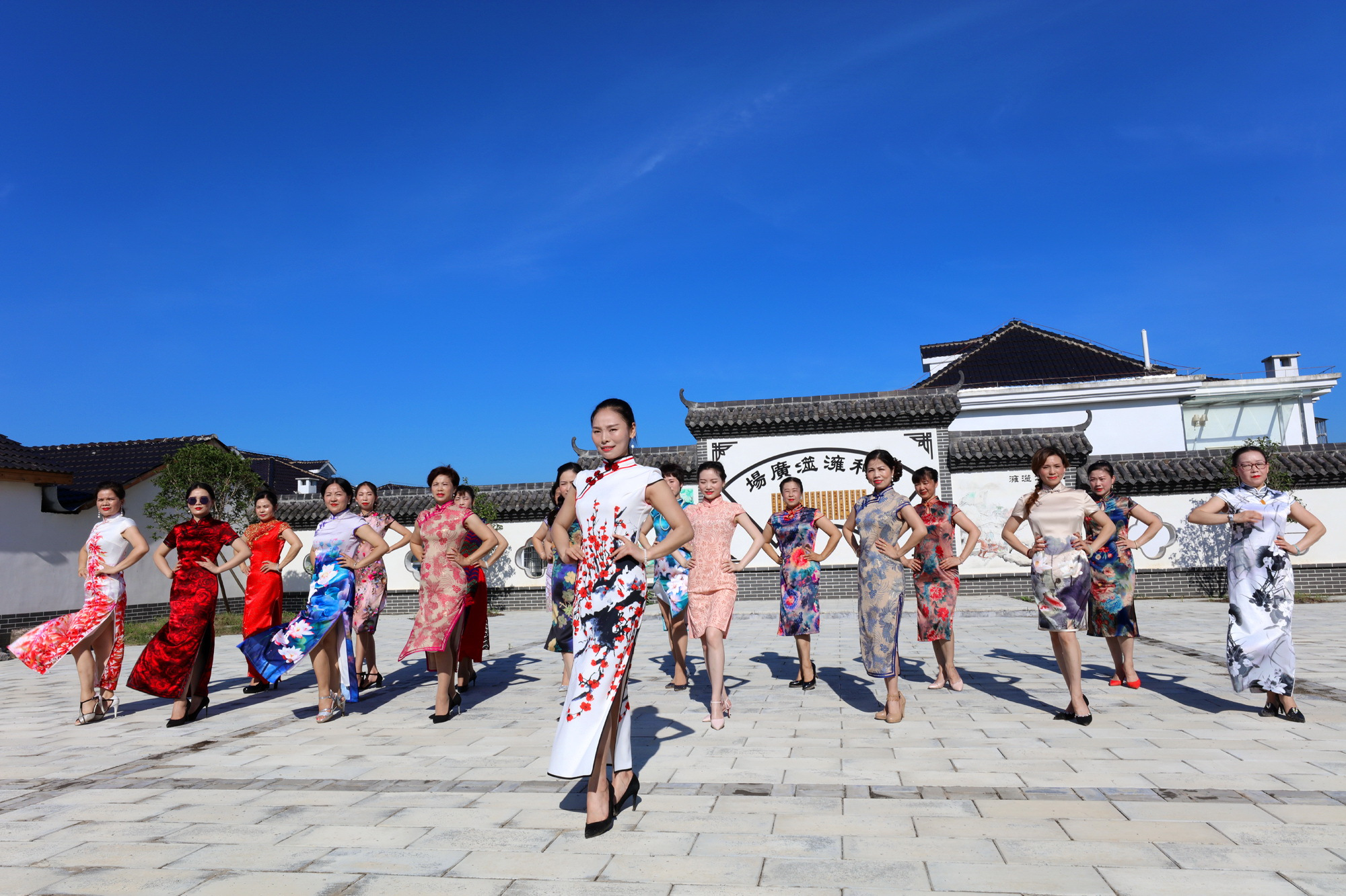 这个夏天的荷花太美了,这个夏天的荷花