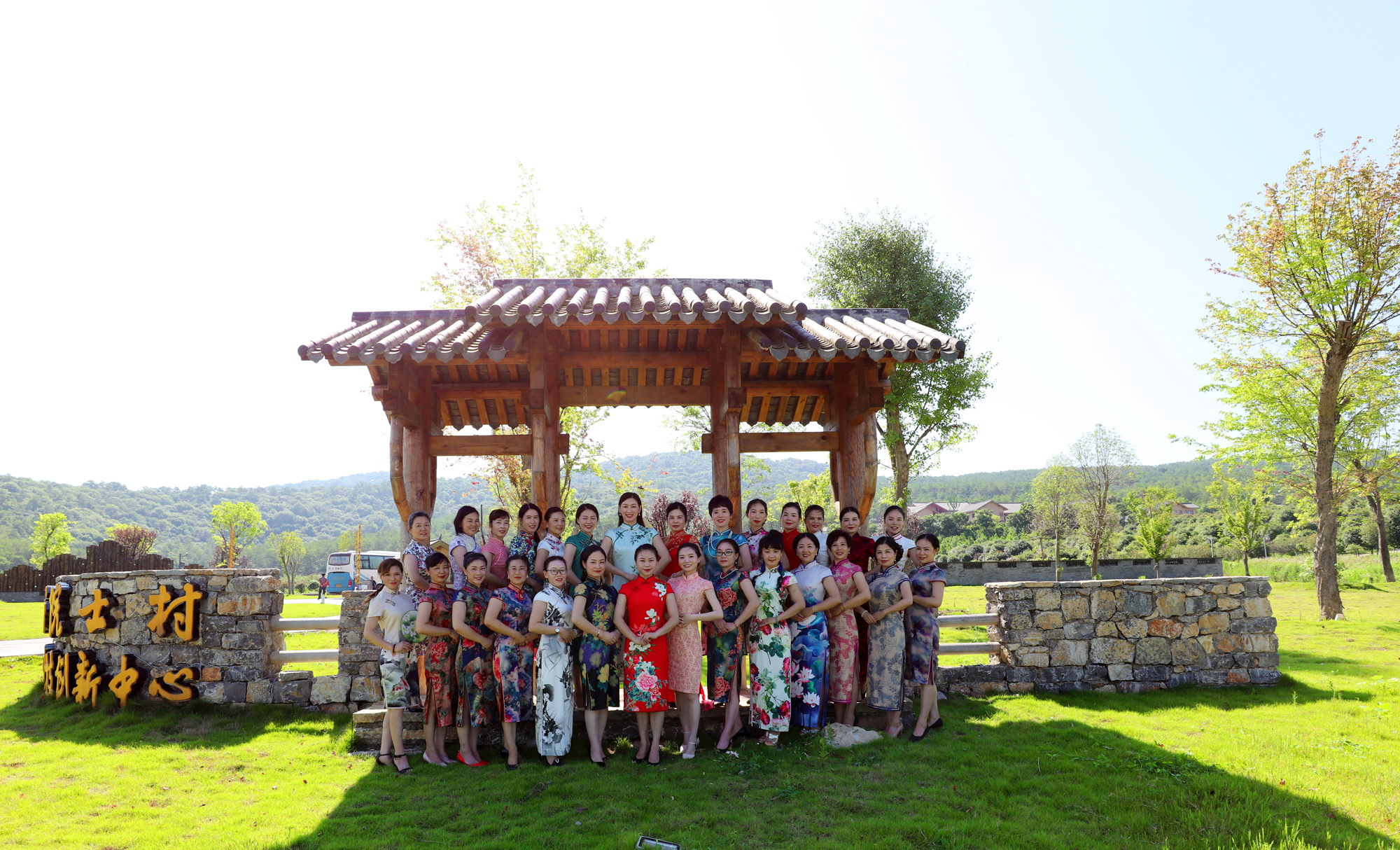 这个夏天的荷花太美了,这个夏天的荷花