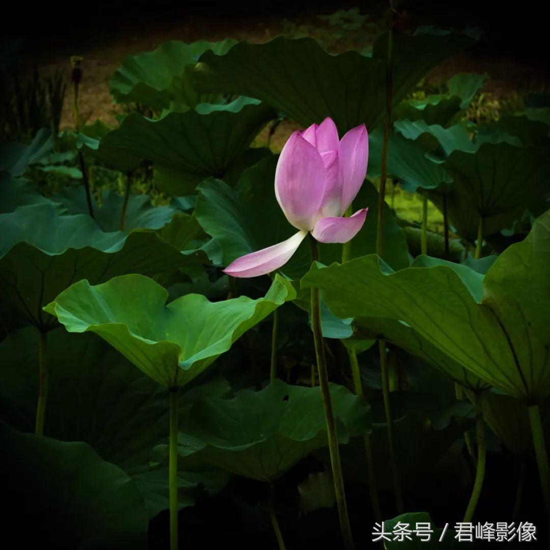 玩相机玩摄影,玩徕卡m系列从多大镜头开始