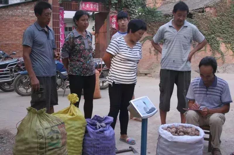 第一书记怎么开展工作,第一书记工作八法