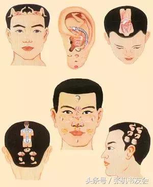 针灸按摩全息图(收藏版)