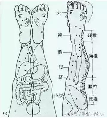 针灸按摩全息图(收藏版)