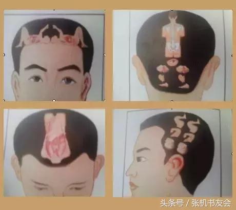 针灸按摩全息图(收藏版)