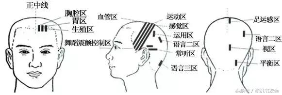 针灸按摩全息图(收藏版)