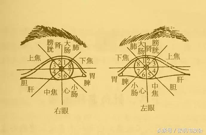 针灸按摩全息图(收藏版)
