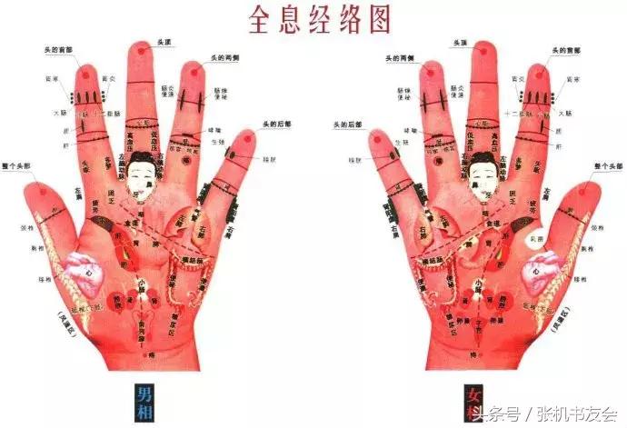 针灸按摩全息图(收藏版)