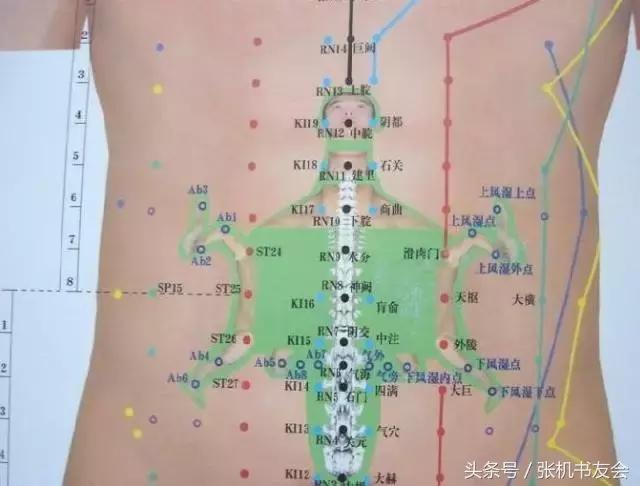 针灸按摩全息图(收藏版)