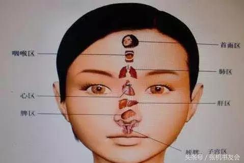 针灸按摩全息图(收藏版)