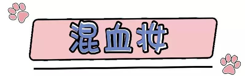 适合亚洲人的妆容画法超详细,日系妆容画法教程