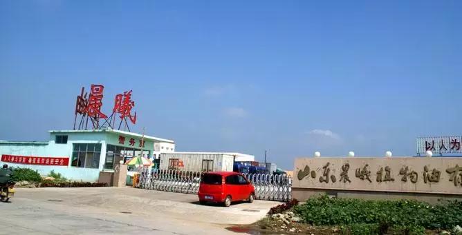 拉手网公司现在怎么样,拉手网的市场分析