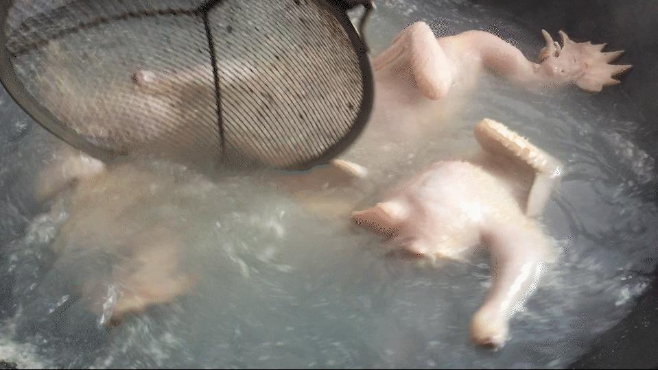 94年小伙卖卤肉十年,28岁小伙卖卤肉