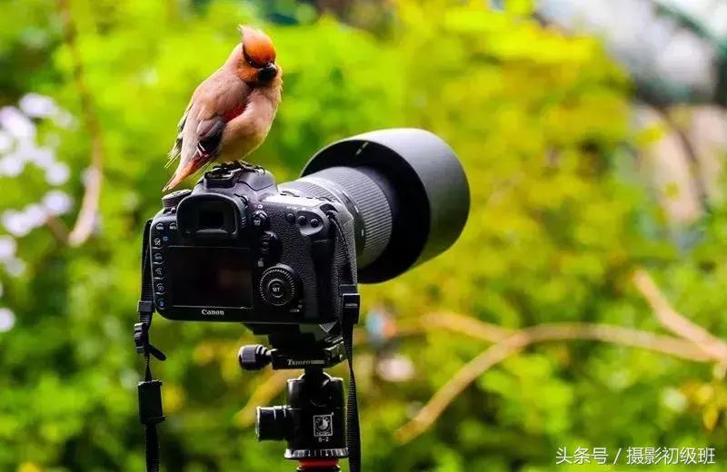 记住摄影口诀想拍不好也难,全套摄影口诀完整版