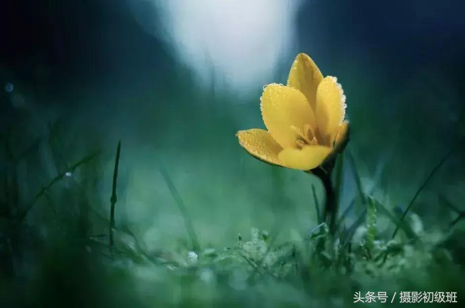 记住摄影口诀想拍不好也难,全套摄影口诀完整版