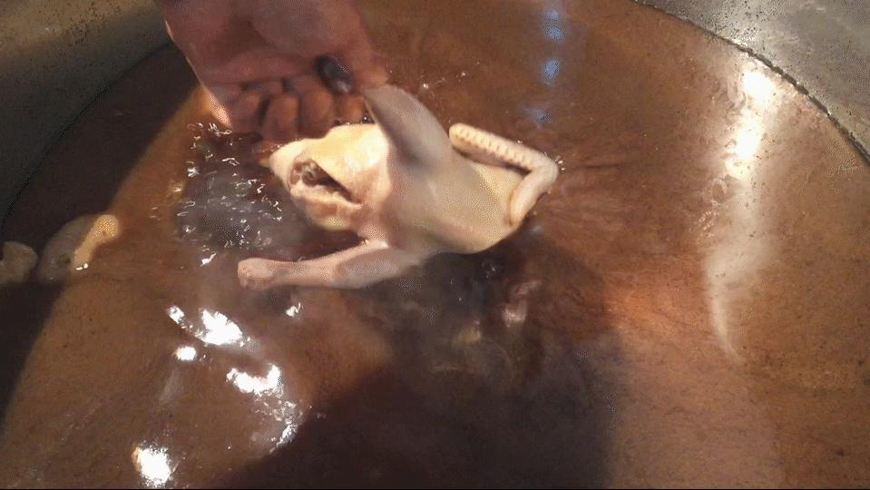 94年小伙卖卤肉十年,28岁小伙卖卤肉