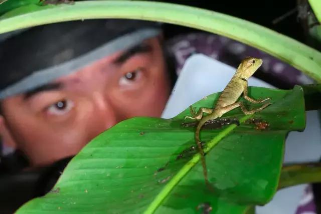 张程皓图片,张程皓照片