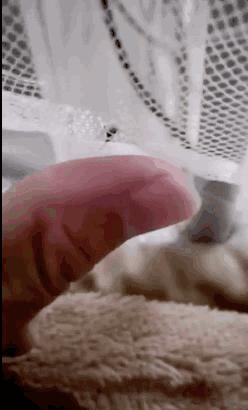 对不起，你永远都不可能是蚊子的对手