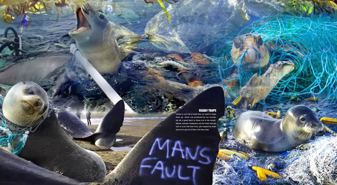 大数据分析景观,景观设计大数据