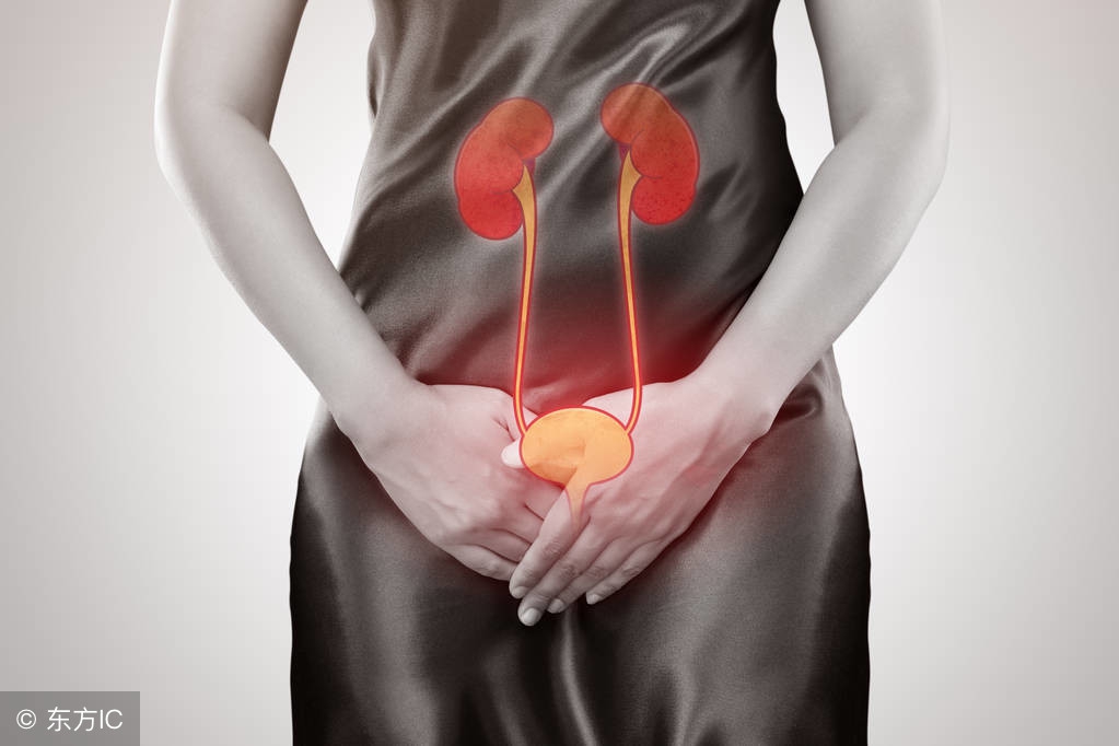膀胱疼痛位置图怎么看,膀胱附近疼如何判断是不是肾结石