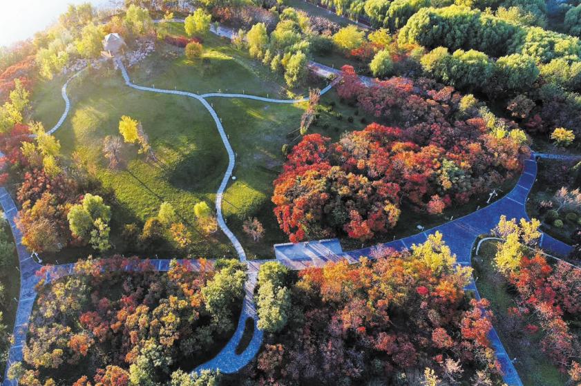 燕赵都市报创刊时间,河北燕赵都市报还在发行吗