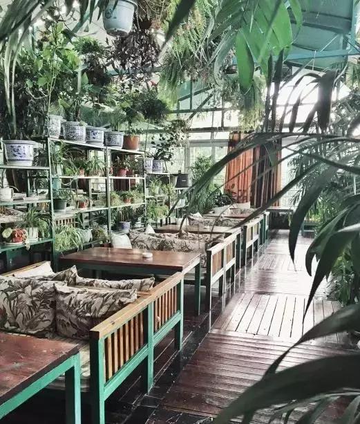 到重庆玩住哪比较方便又便宜民宿,去重庆旅游住哪里性价比最高2-3人