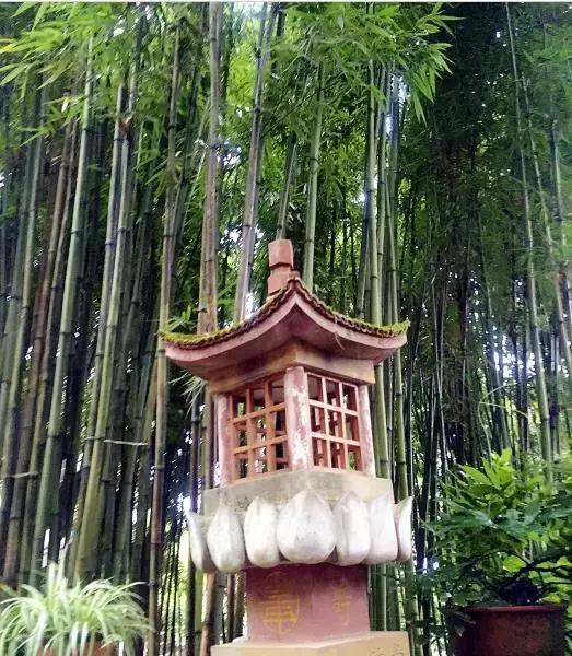 到重庆玩住哪比较方便又便宜民宿,去重庆旅游住哪里性价比最高2-3人