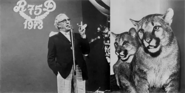 adidas和puma哪个耐穿,adidas和puma的电影