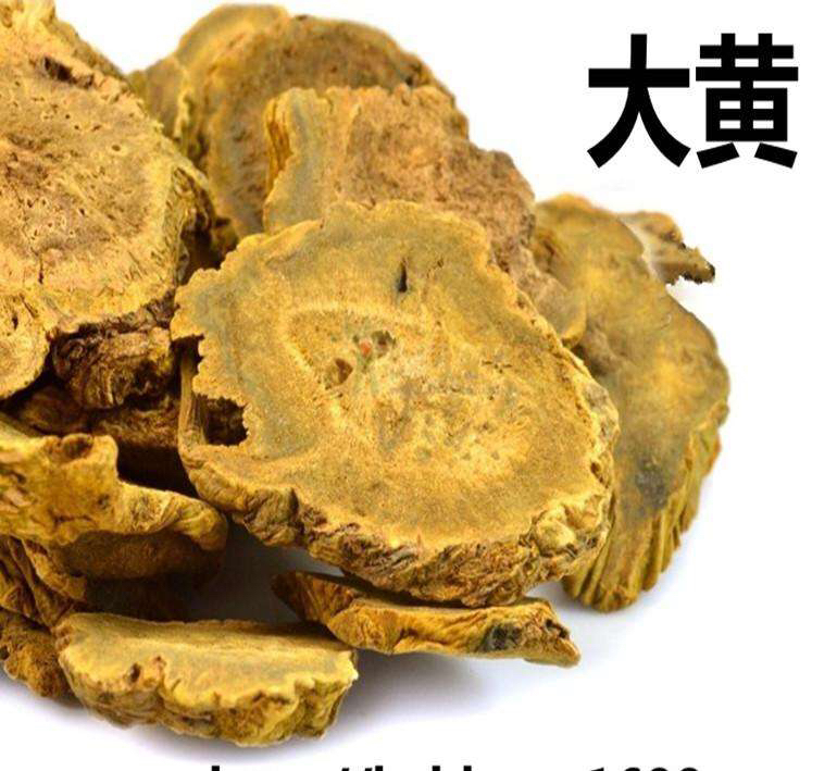 《中药学》常用攻下药汇总