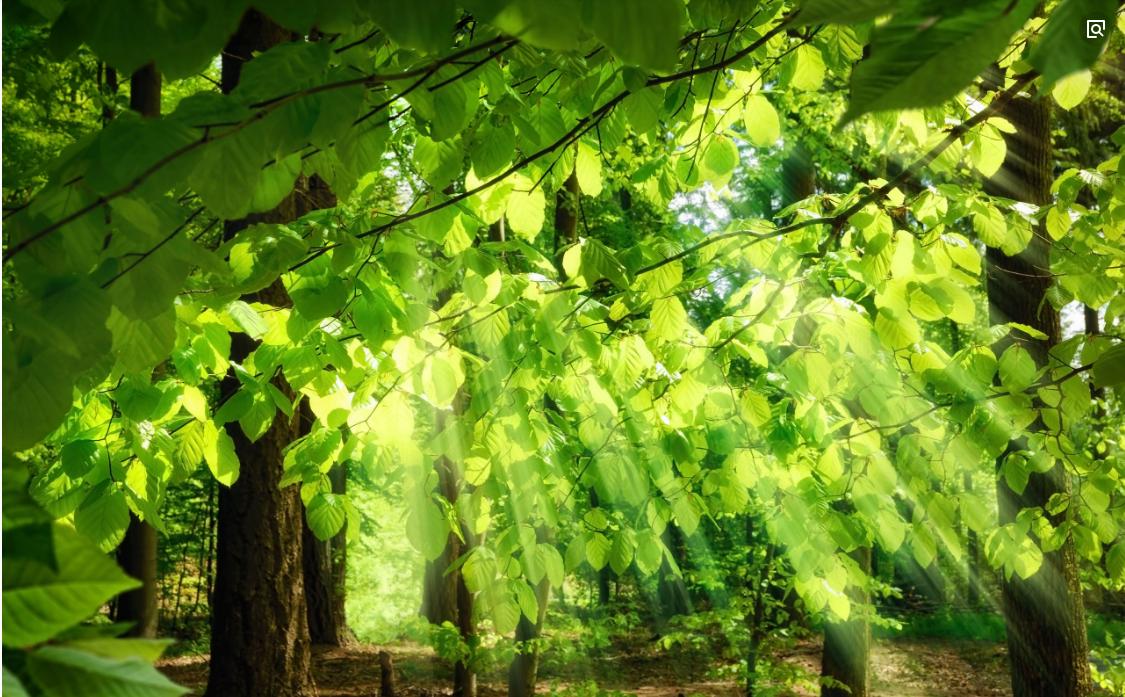 瀹囪埅鍛樼櫥鏈堥渶瑕佹湁鍝簺鍑嗗,瀹囪埅鍛樼櫥鏈堝墠瑕佸仛鍝簺鍑嗗