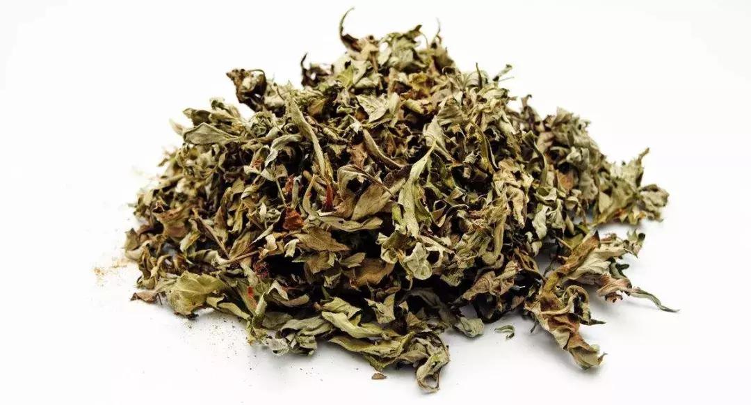 「老赵说事」身在明港感受美丽乡村的变迁