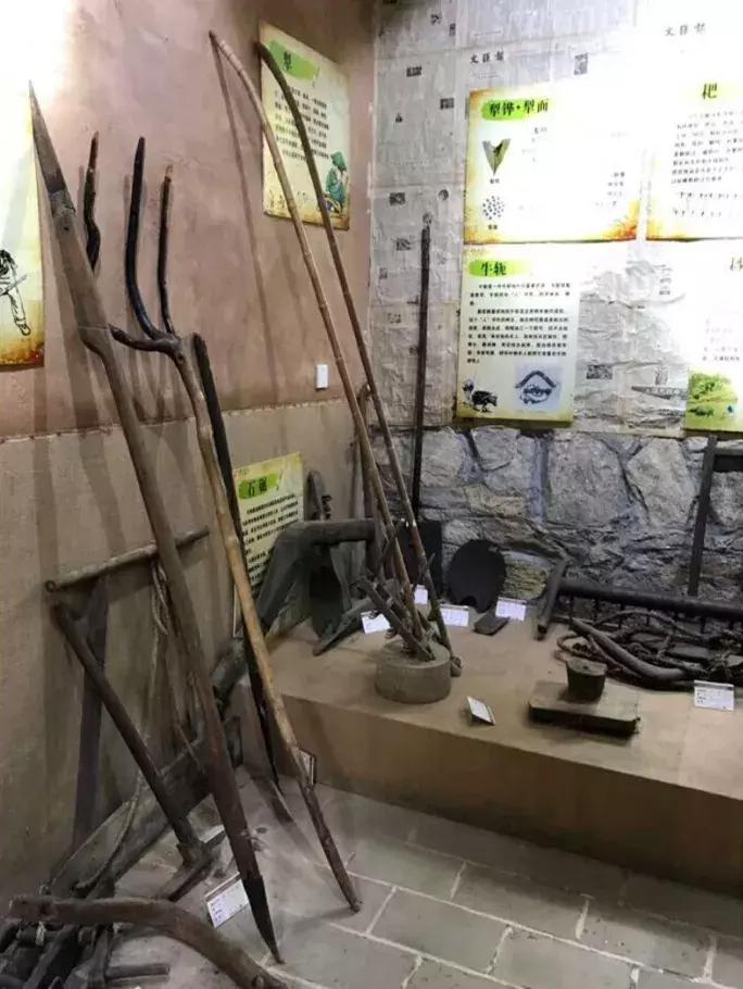 「老赵说事」身在明港感受美丽乡村的变迁