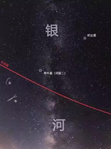 东非动物大迁徙记录完整版,东非野生动物大迁徙纪录片