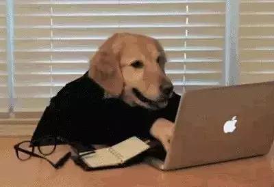 广州平均工资你拖后腿了吗,广州市315