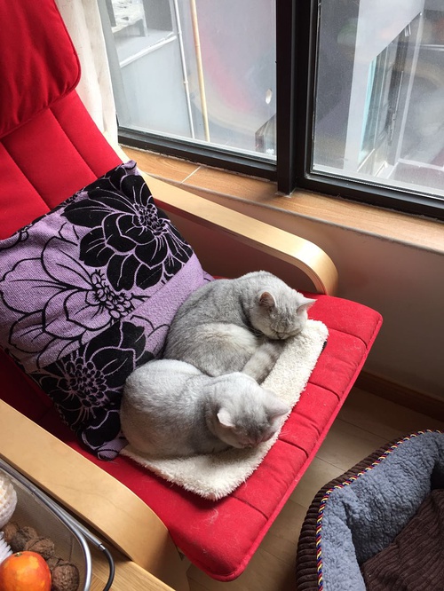 装修入住3个月总结35条血泪教训,入住一年后的总结