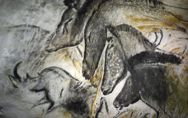 世界十*禁大**区千万不要因为好奇就想去!