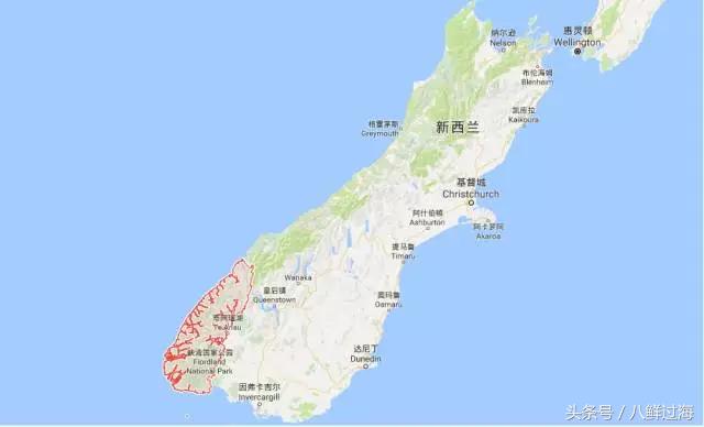 新西兰绿岩龙虾,生长在岛上的海鲜