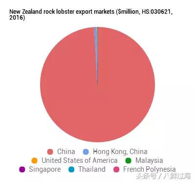 新西兰绿岩龙虾,生长在岛上的海鲜
